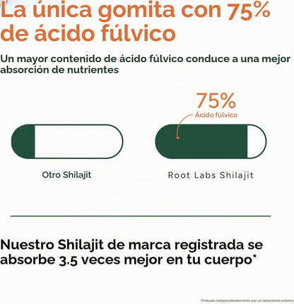 Gomitas RootLabs de Shilajit 10 en 1