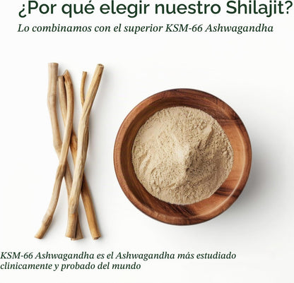 Gomitas RootLabs de Shilajit 10 en 1
